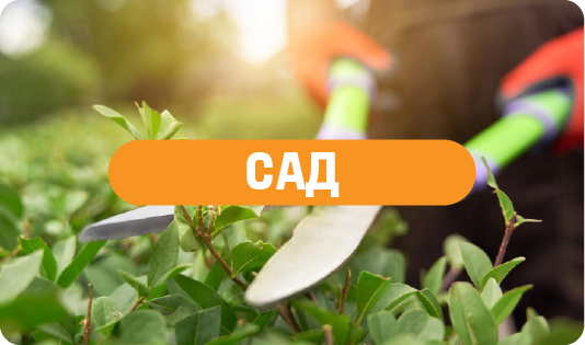 Сад