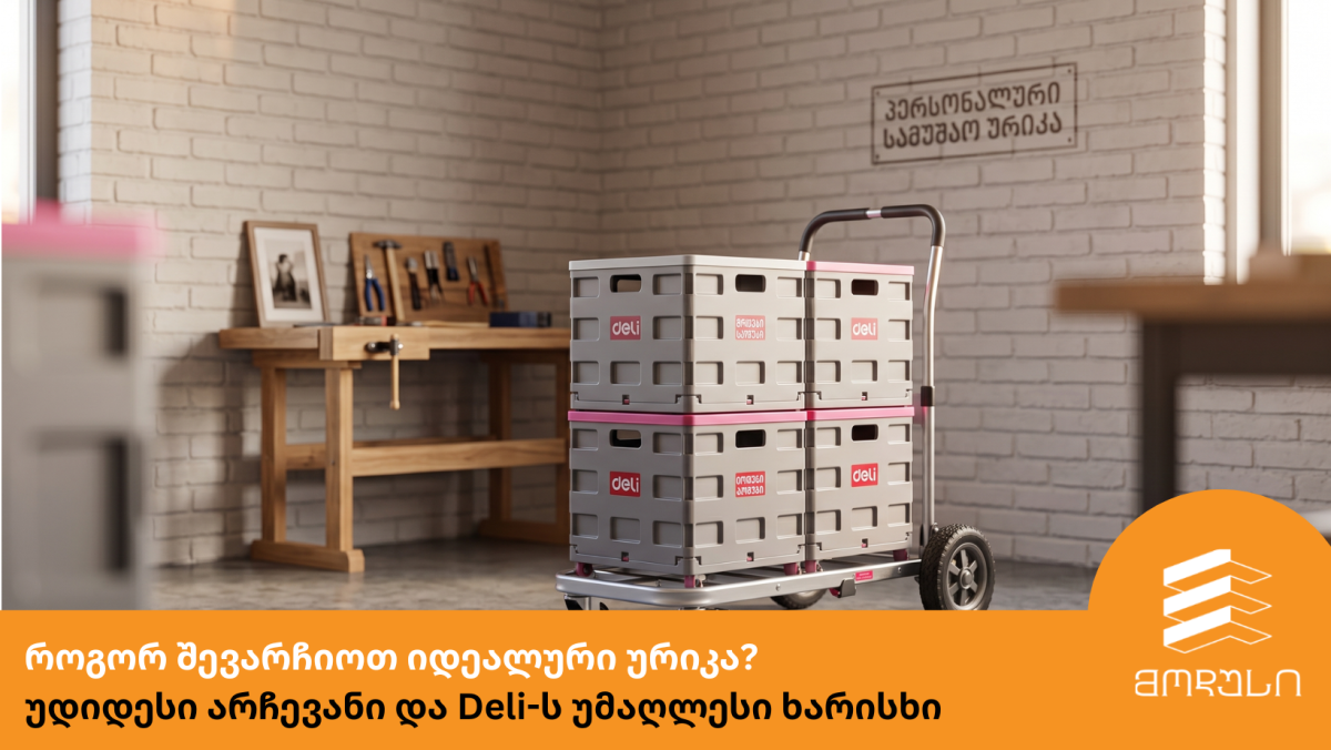 როგორ შევარჩიოთ იდეალური ურიკა? – უდიდესი არჩევანი და Deli-ს უმაღლესი ხარისხი