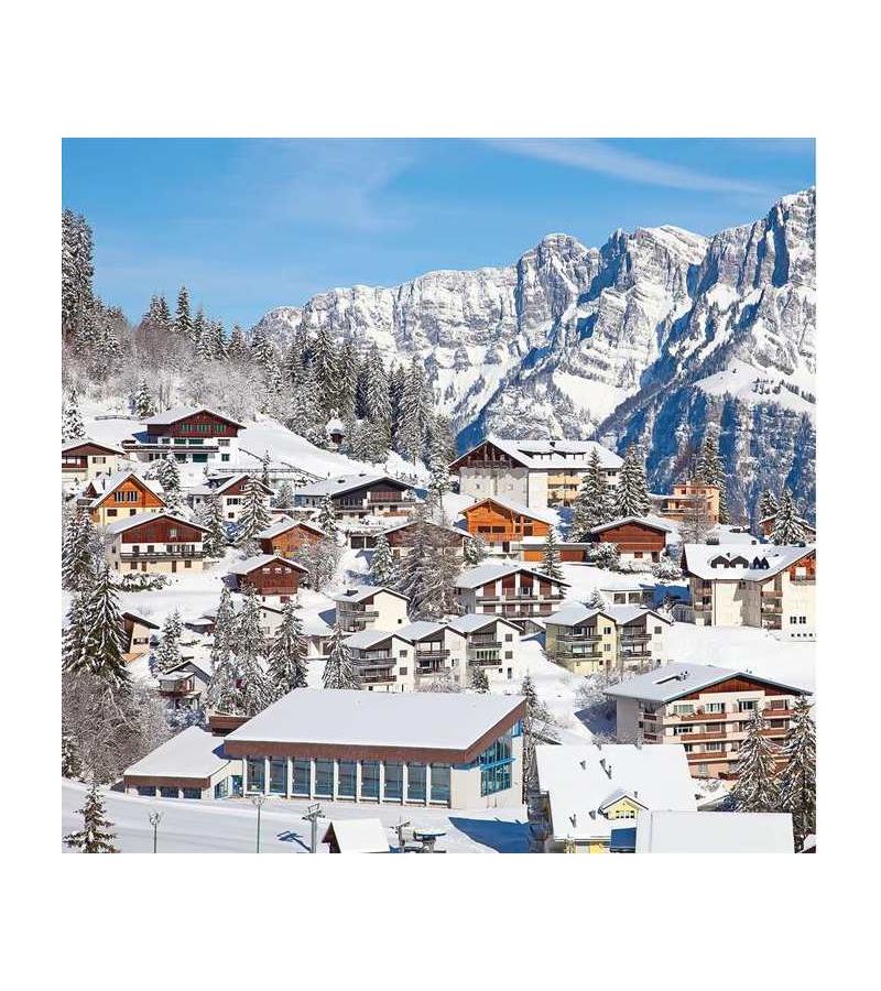 Photo wallpaper 285x270cm London MIR-3021-V3 dark. MIR