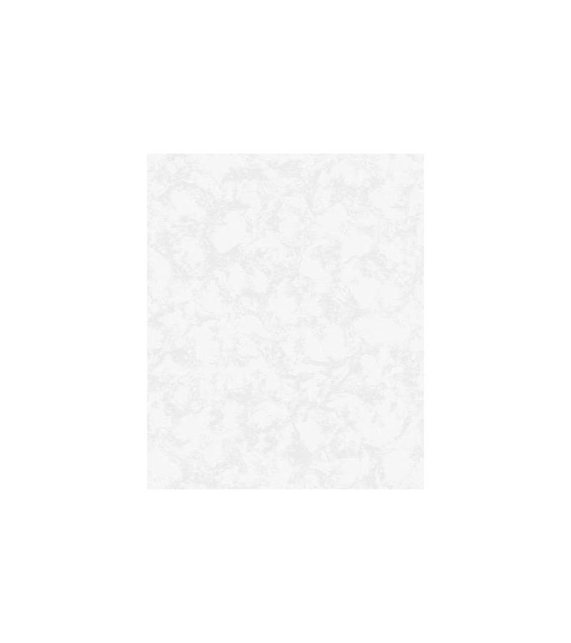 Обои на основе винилового флизелина #2720-4 Моменты 1,06*25 м. Эрисманн