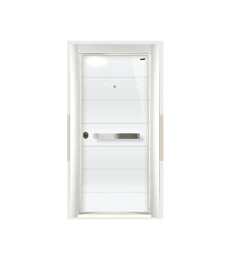 Metal door ER 5502 DIS IKLIM size 220*104/96*20 internal opening on the right, dark. ERMETSAN