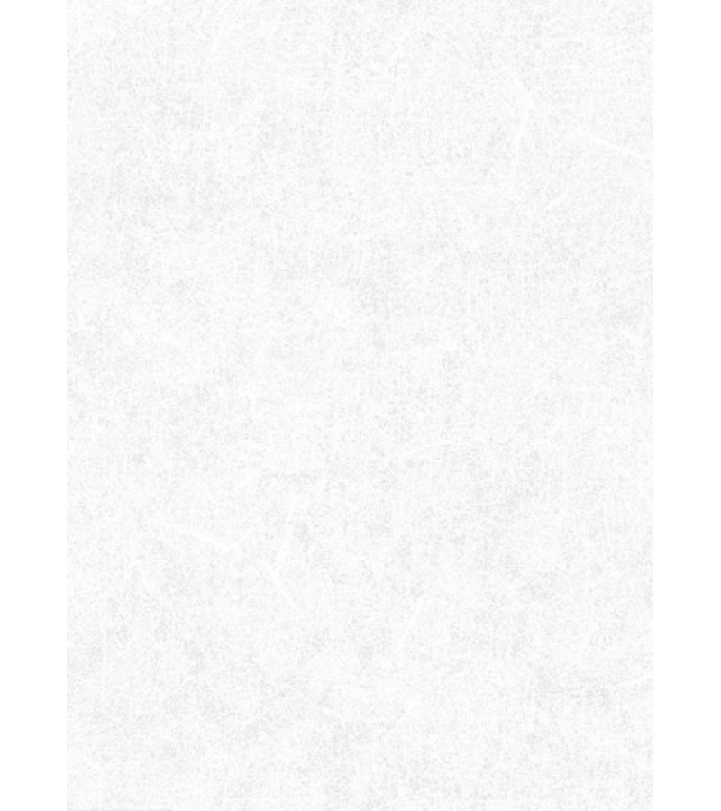 Wallpaper on the basis of vinyl flizelin # 2847-5 Impuls 1.06*10 mt. Erismann