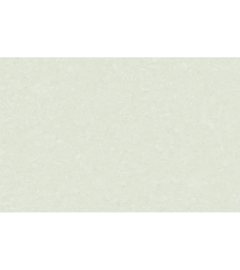 შპალერი ვინილის ფლიზელინის ფუძეზე  # 60309-06 BENEFIT  1.06*10 მტ. Erismann