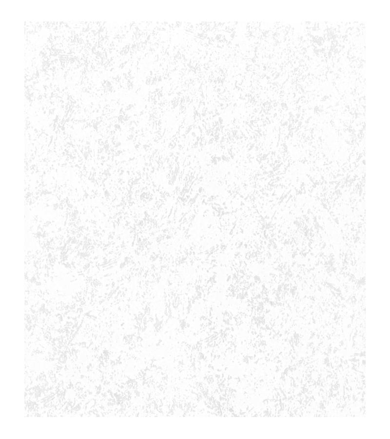 Wallpaper on vinyl non-woven base # 2524-1 ModeViles 1.06*25 mt. Erismann