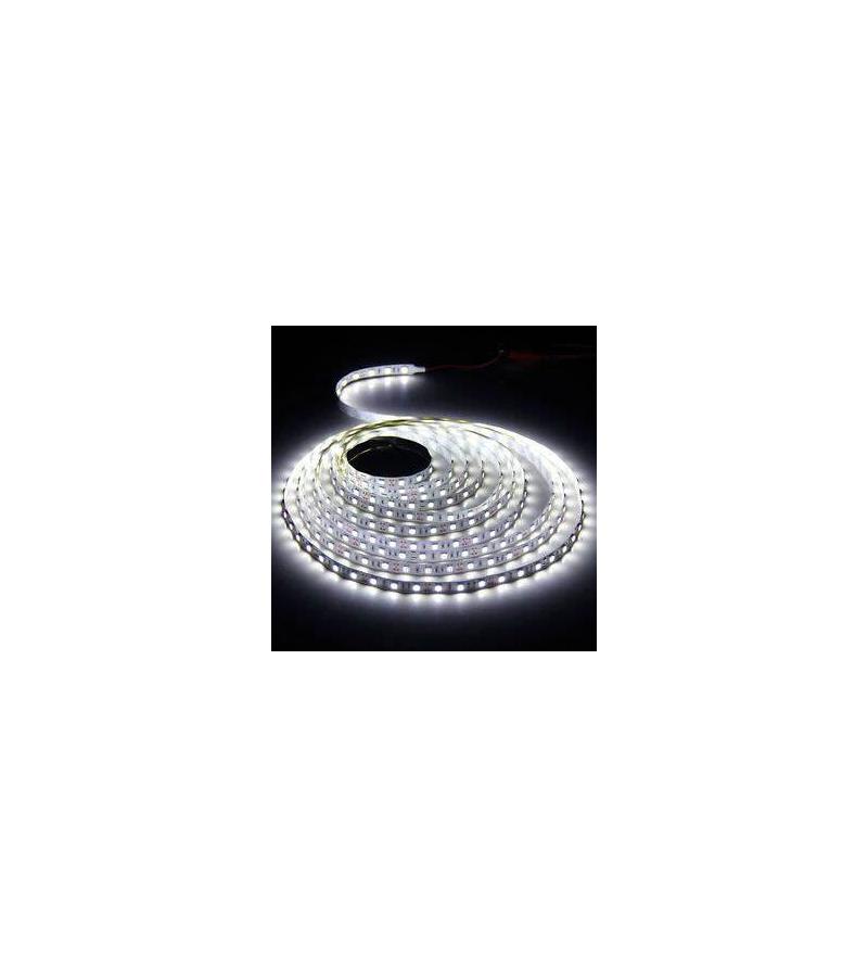 Ribbon lighting SND-21 12V-5M white