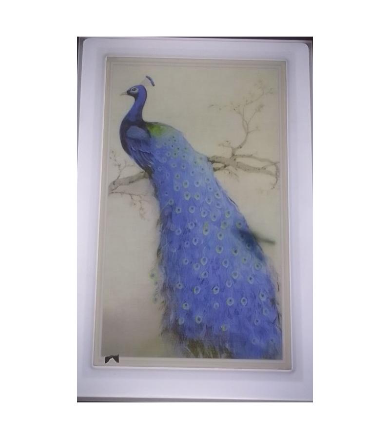 სურათი  LED განათებით  GZ-SJF-6 / B912 M  ზომა. 41*26