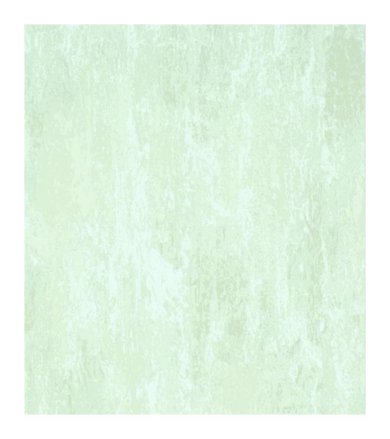 Виниловые флисовые обои. база № 8054-06 Размер ИПА: 1,06*10 м.