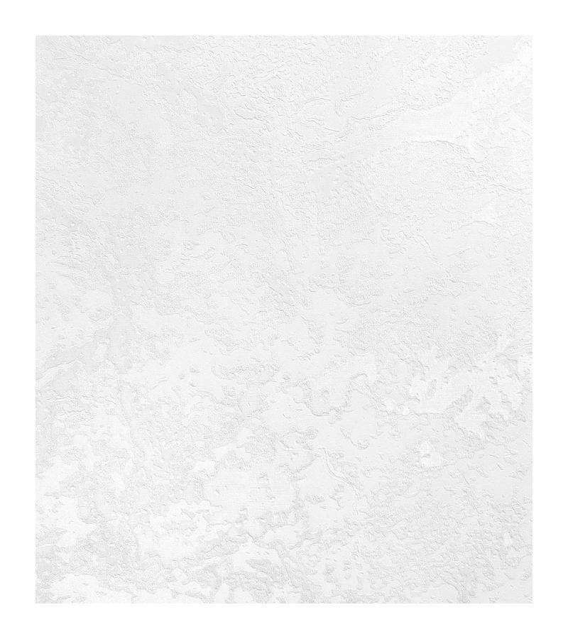 Wallpaper on the basis of vinyl flizelin # 60237-01 EMILY 1.06*10 mt. Erismann