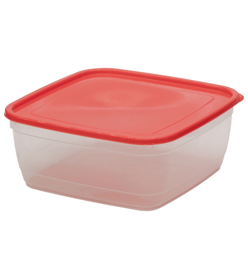 Контейнер для хранения продуктов 3л №5 ZP 663 горький. Замбак