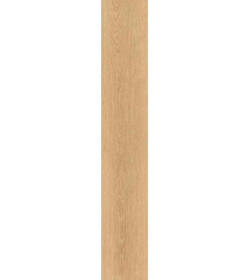 კერამოგრანიტი  MUSE ROBLE MT  23.3*120  EMOTION.SL