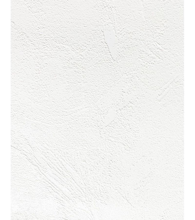 Обои виниловые флизелиновые № 2858-1 Defender 1,06*25 м. Эрисманн