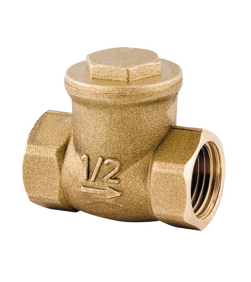 Check Valve 2 1/2 # 201-7 TDS