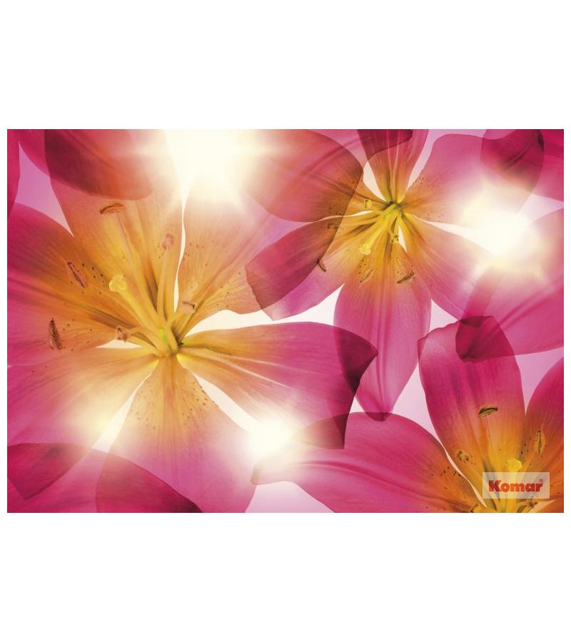 Photo wallpaper 368x254cm Summer Sun SD928 dark. KOMAR