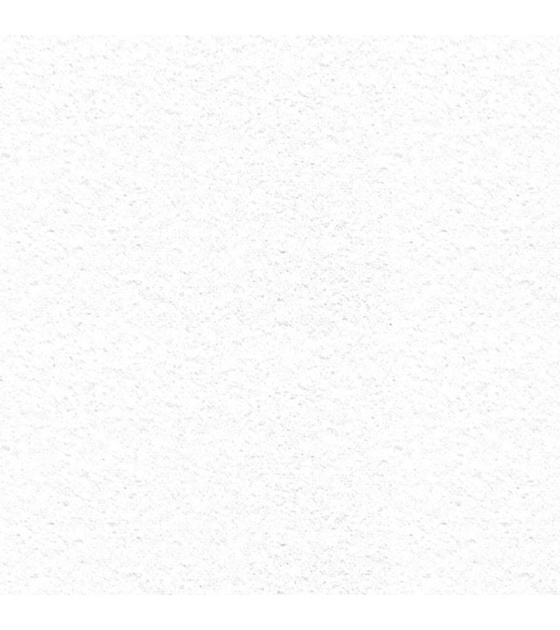 Wallpaper pigmented canvas BOSTON JM180 25 m2 ''BAUTEX''