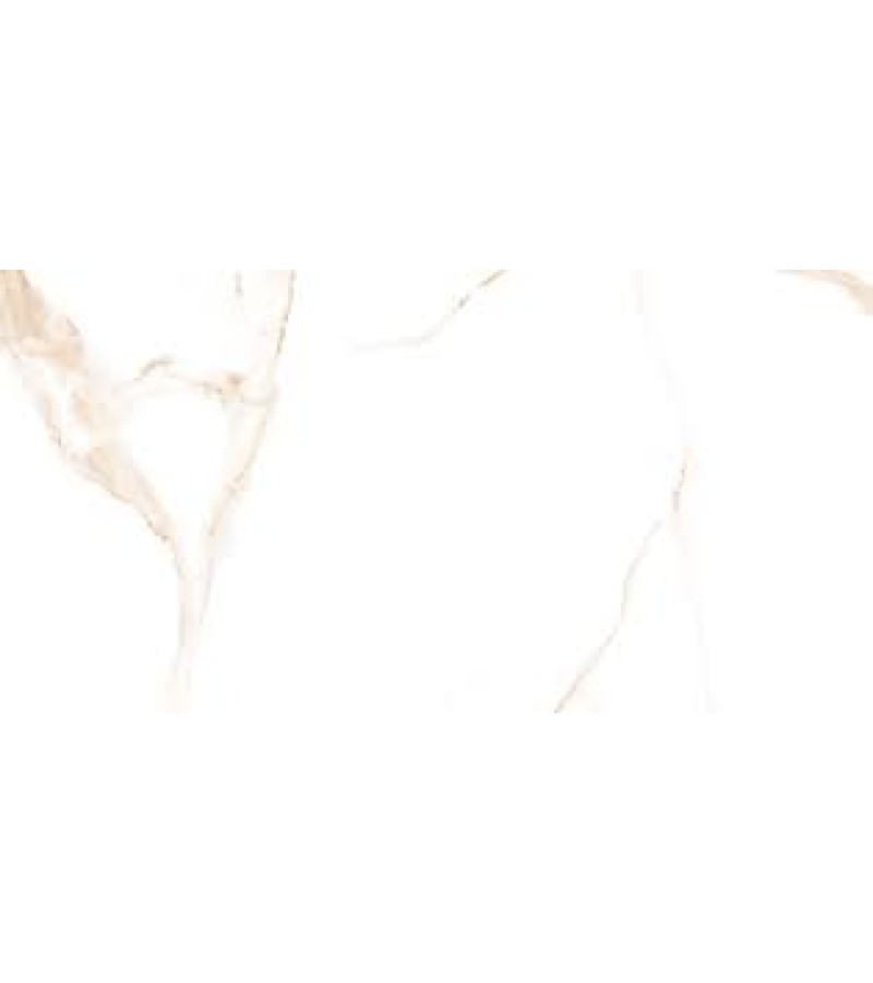 Керамический гранит ALSACIA ORO PL 60X120 CICOGRES S.A