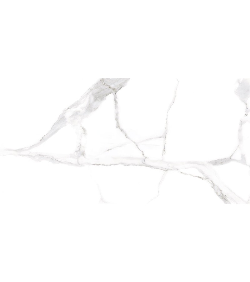 Керамический гранит ALSACIA BLANCO PL 60X120 CICOGRES S.A