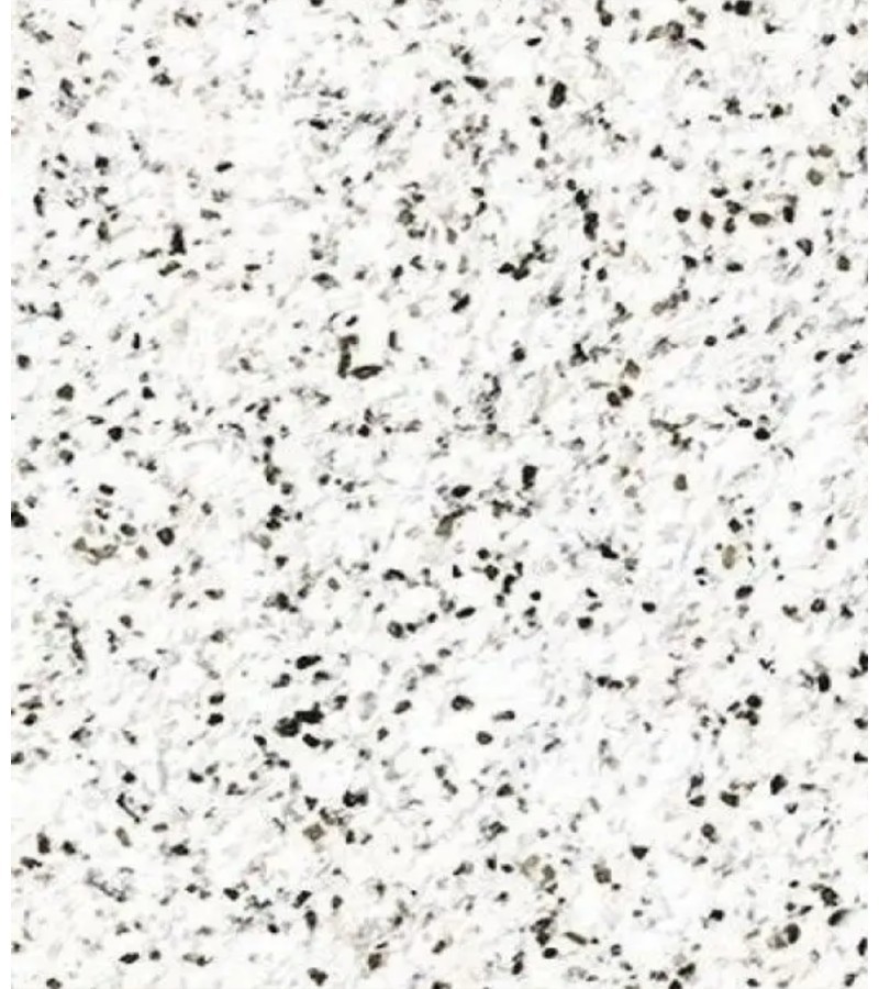 ფხვნილი თხევადი შპალიერის მოსამზადებლად    Sand 133   მწარ.  SILK PLASTER 